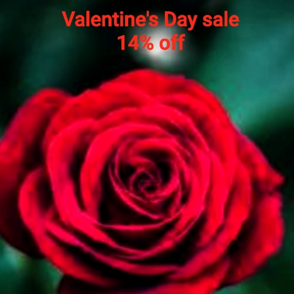 Valentine's Day Sale